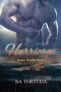 Book Cover: Hurricane