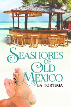 Book Cover: Seashores of Old Mexico