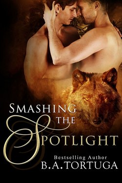 Book Cover: Smashing the Spotlight