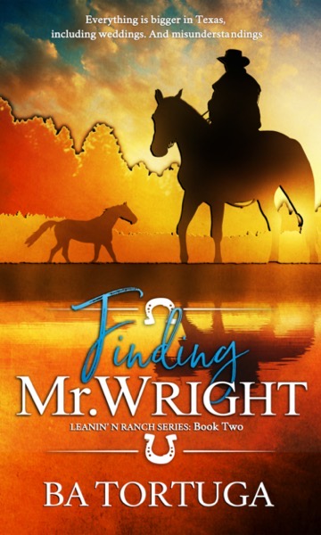 Finding Mr Wright Kindle 1500 x 2500